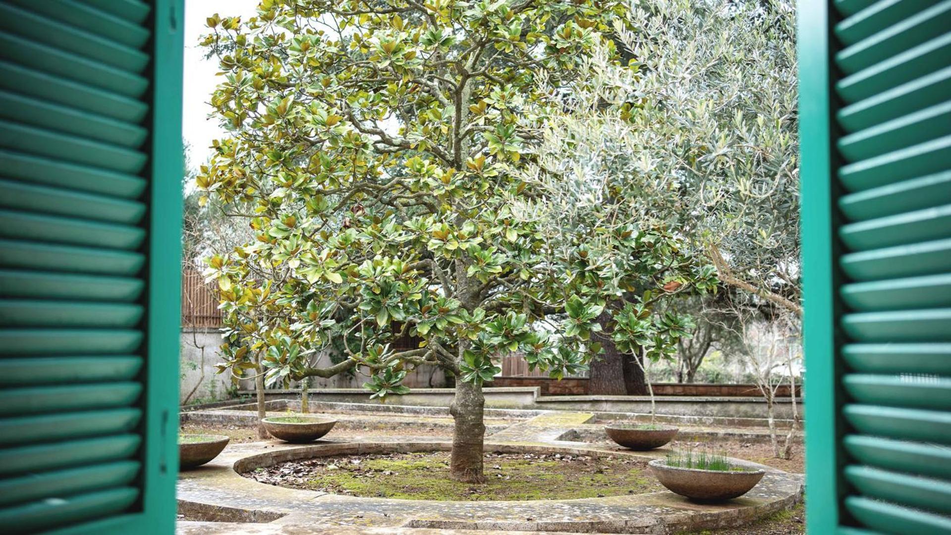Villa Borgo Lucia Selva Di Fasano Esterno foto